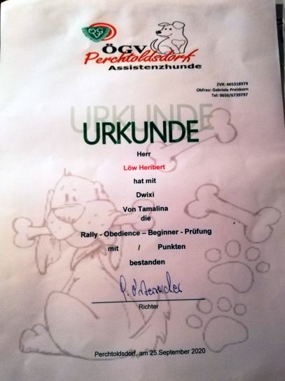 25.9.2020 - Rally Obeidience Beginner Urkunde